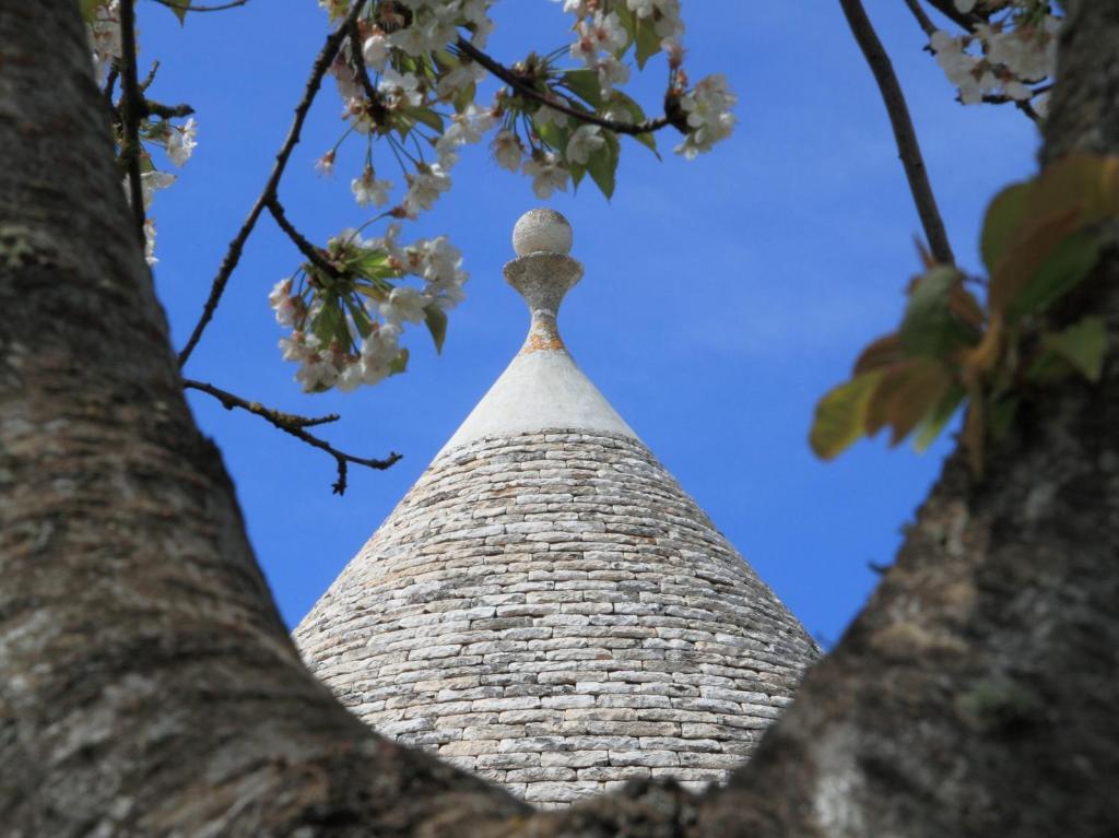 Pietraluce Guest House Alberobello Bagian luar foto