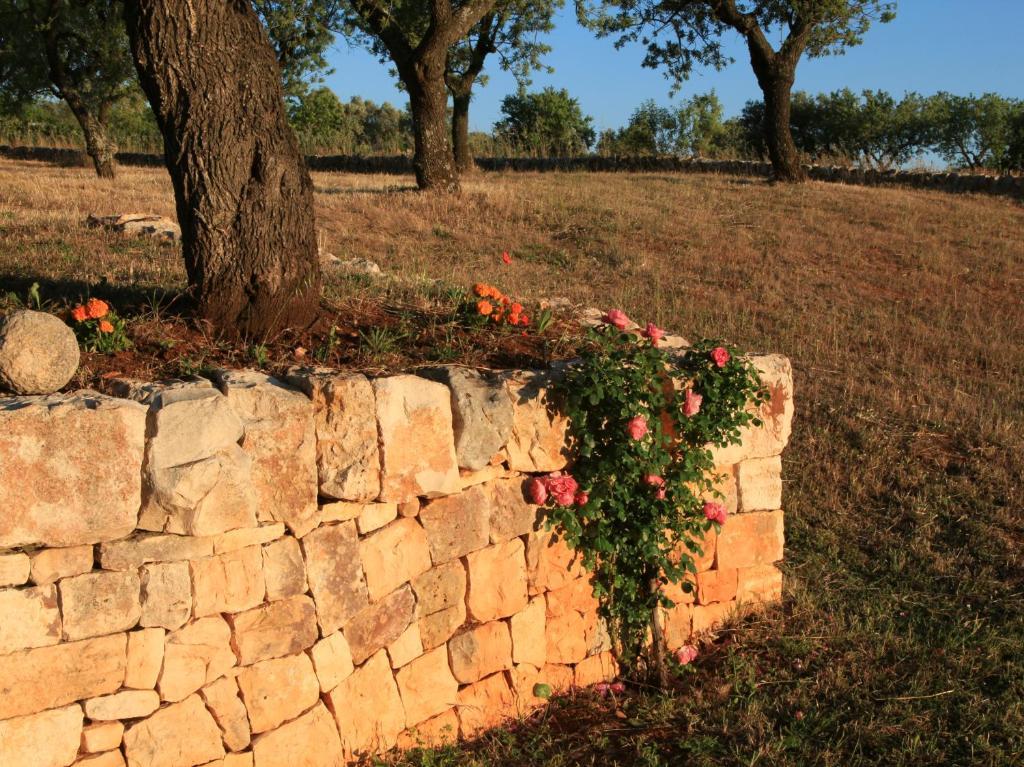 Pietraluce Guest House Alberobello Bagian luar foto